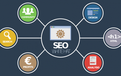 How a best local SEO Company help grow your business