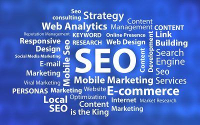 Find local SEO expert to get new business opportunities